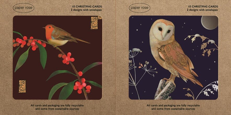 Owl and Robin Boxed Christmas Cards