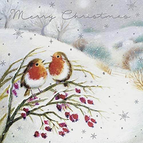 6 Robins on a Branch Charity Christmas Cards - House of Cards