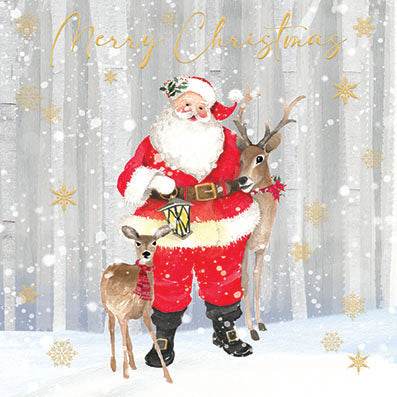 6 Santa and Deer Charity Christmas Cards - House of Cards