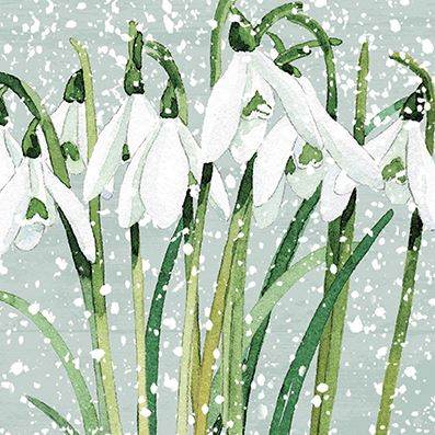 Snowdrops CP Christmas Cards - House of Cards