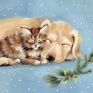Labrador and Kitten CP Christmas Cards - House of Cards