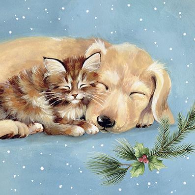 Labrador and Kitten CP Christmas Cards