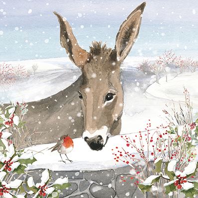 Donkey and Robin Christmas Cards