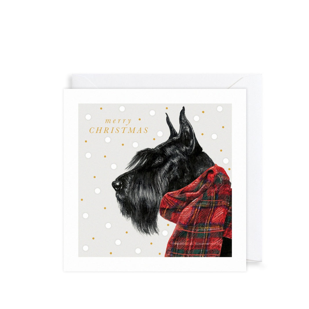 Pack of 6 Scottie Dog Charity Christmas Cards