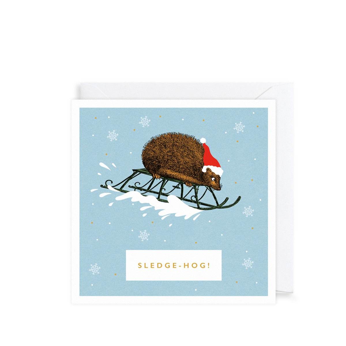 Pack of 6 Sledge-Hog Charity Christmas Cards - House of Cards