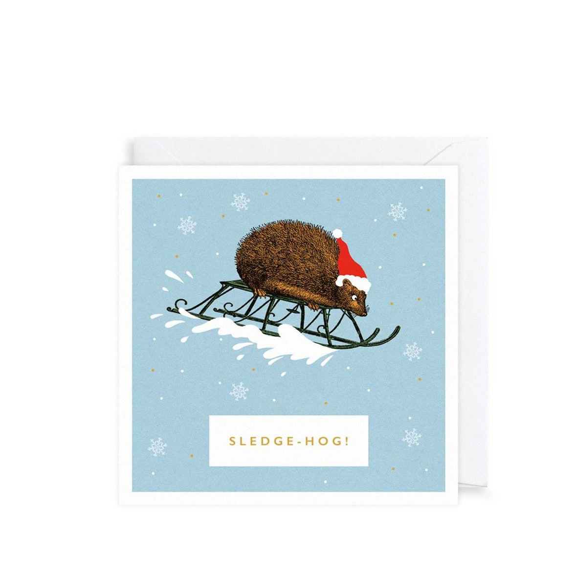 Pack of 6 Sledge-Hog Charity Christmas Cards - House of Cards