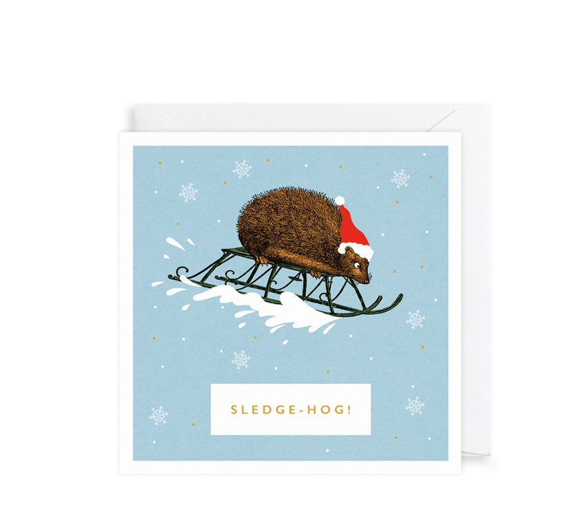 Pack of 6 Sledge-Hog Charity Christmas Cards