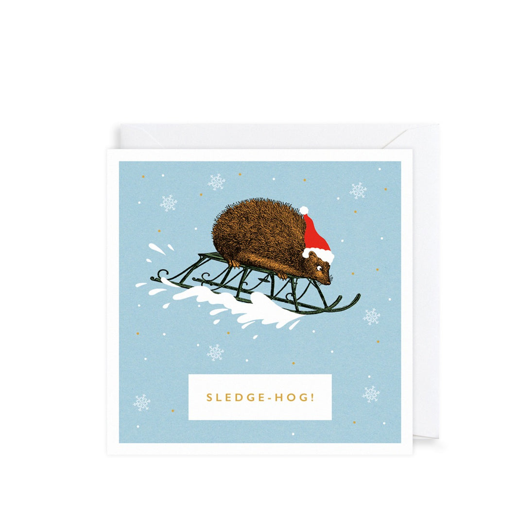 Pack of 6 Sledge-Hog Charity Christmas Cards