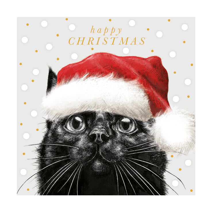 Pack of 6 Black Cat Charity Christmas Cards