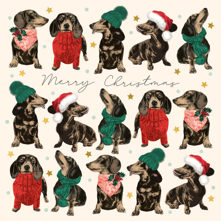 Pack of 6 Dachshund Charity Christmas Cards