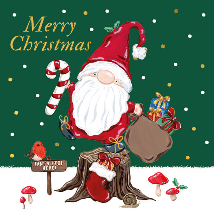 Pack of 6 Santa Gonk Charity Christmas Cards