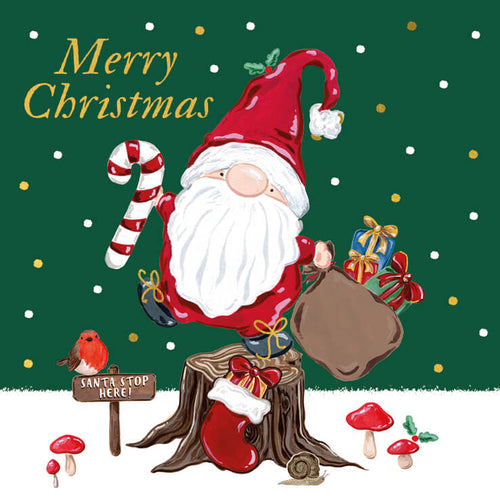 Pack of 6 Santa Gonk Charity Christmas Cards