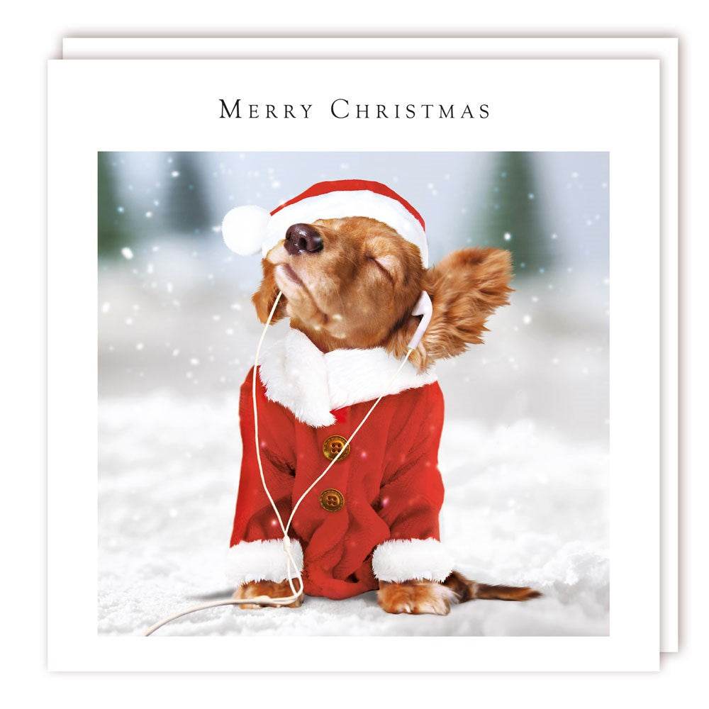 5 Dog Earphones Charity Christmas Cards - House of Cards