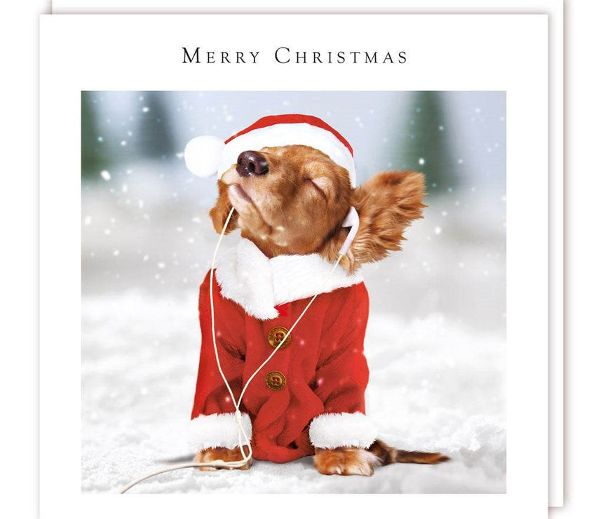 5 Dog Earphones Charity Christmas Cards - House of Cards