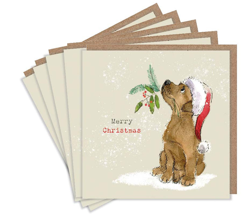 Pack of 5 Festive Puppy Christmas Cards
