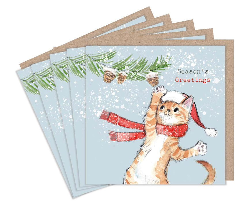 Pack of 5 Festive Playful Cat Christmas Cards