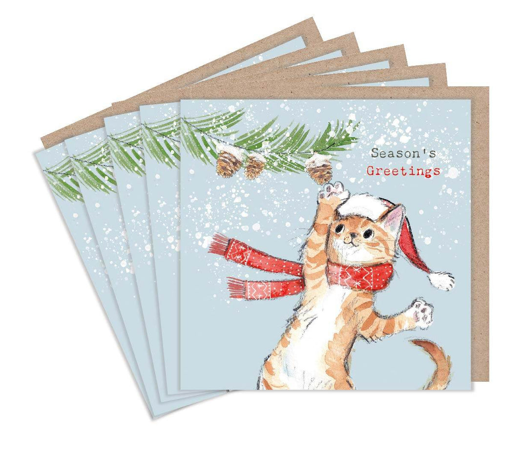 Pack of 5 Festive Playful Cat Christmas Cards - House of Cards