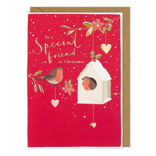 Special Friend Robins Christmas Card