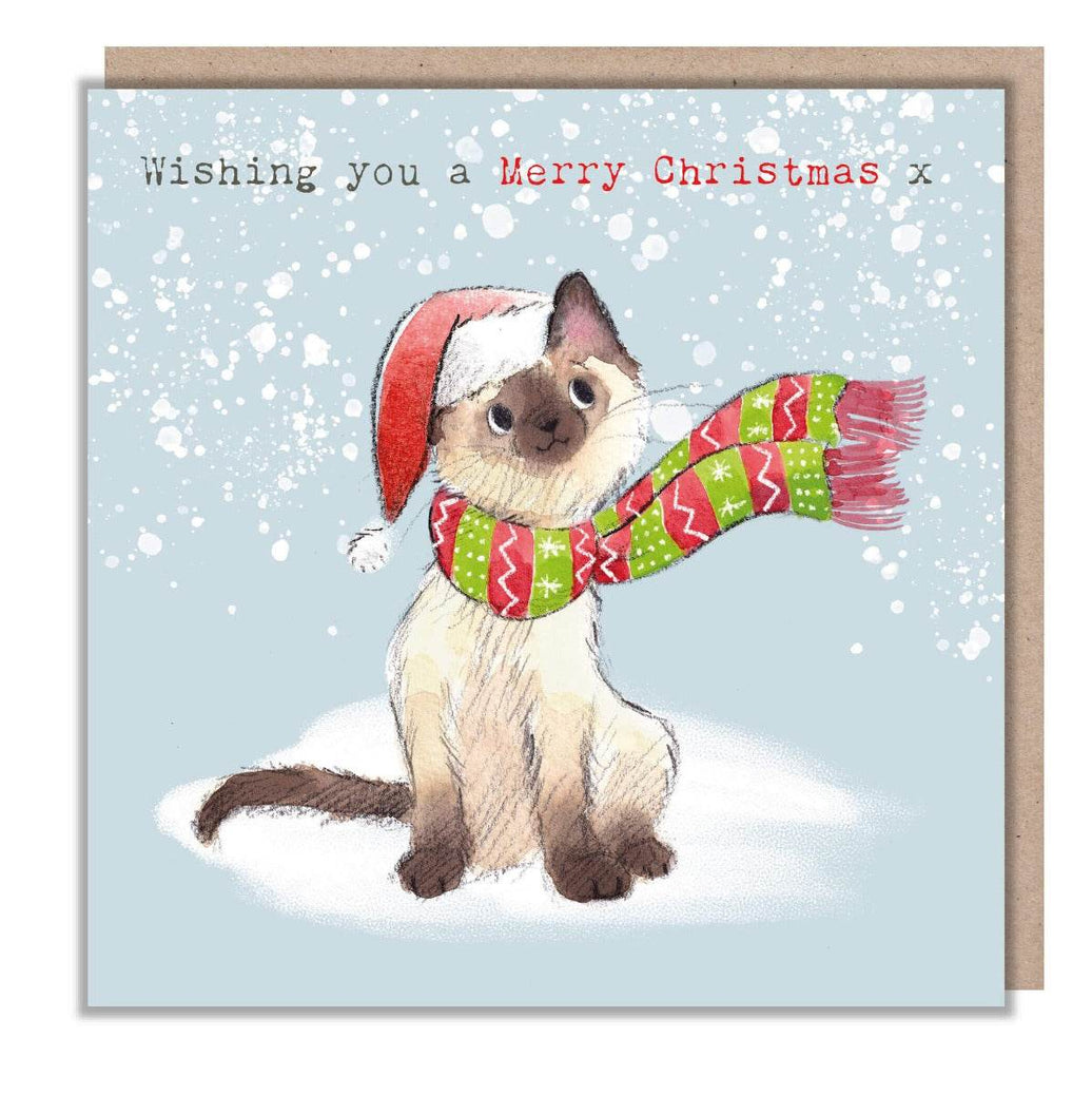 Cat in Scarf Christmas Card - House of Cards