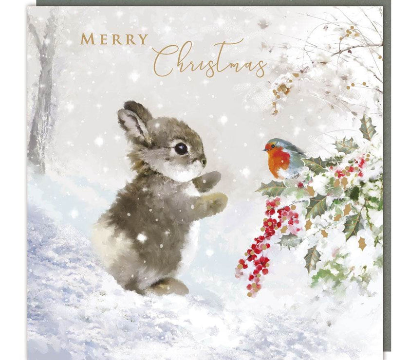 5 Bunny and Robin Christmas Cards - House of Cards