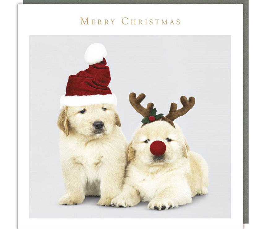 5 Festive Puppies Charity Christmas Cards - House of Cards