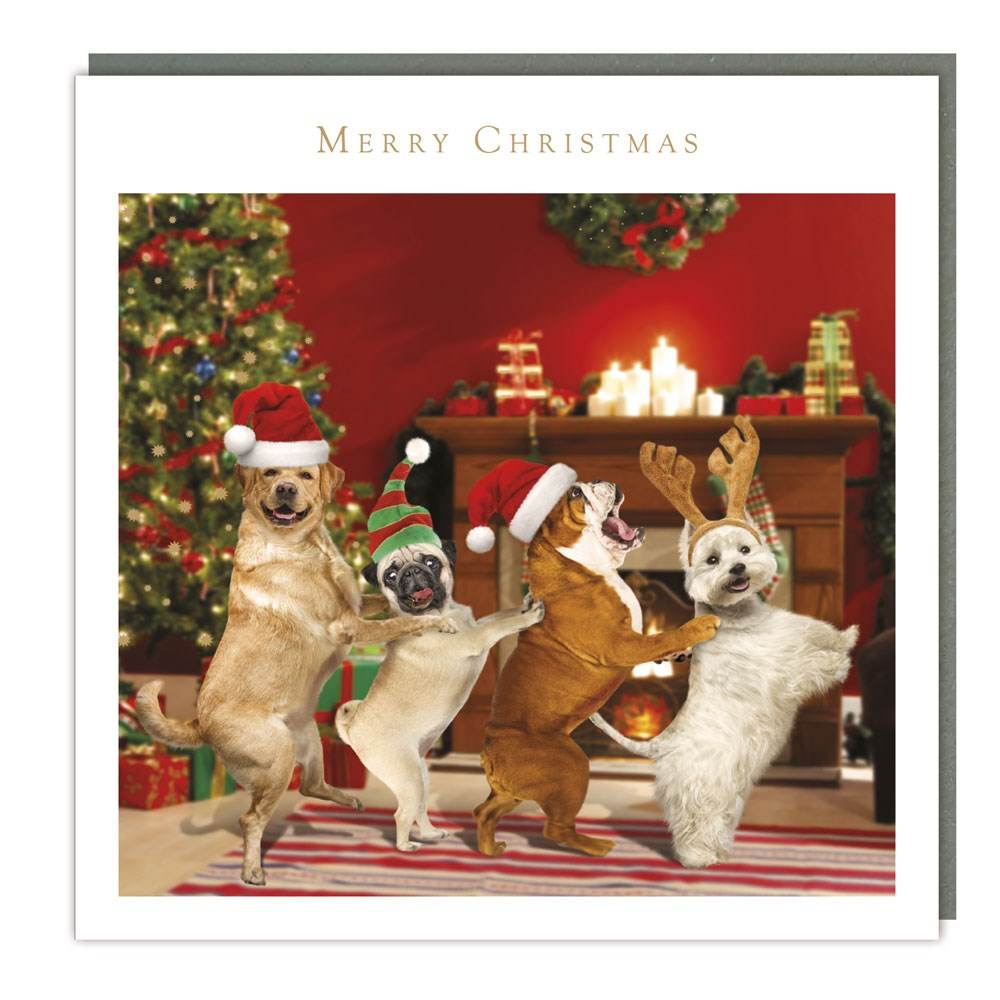 5 Dog Conga Charity Christmas Cards - House of Cards