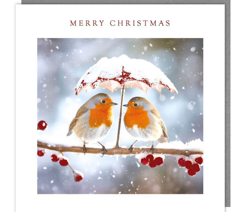 5 Robin Umbrella Charity Christmas Cards - House of Cards