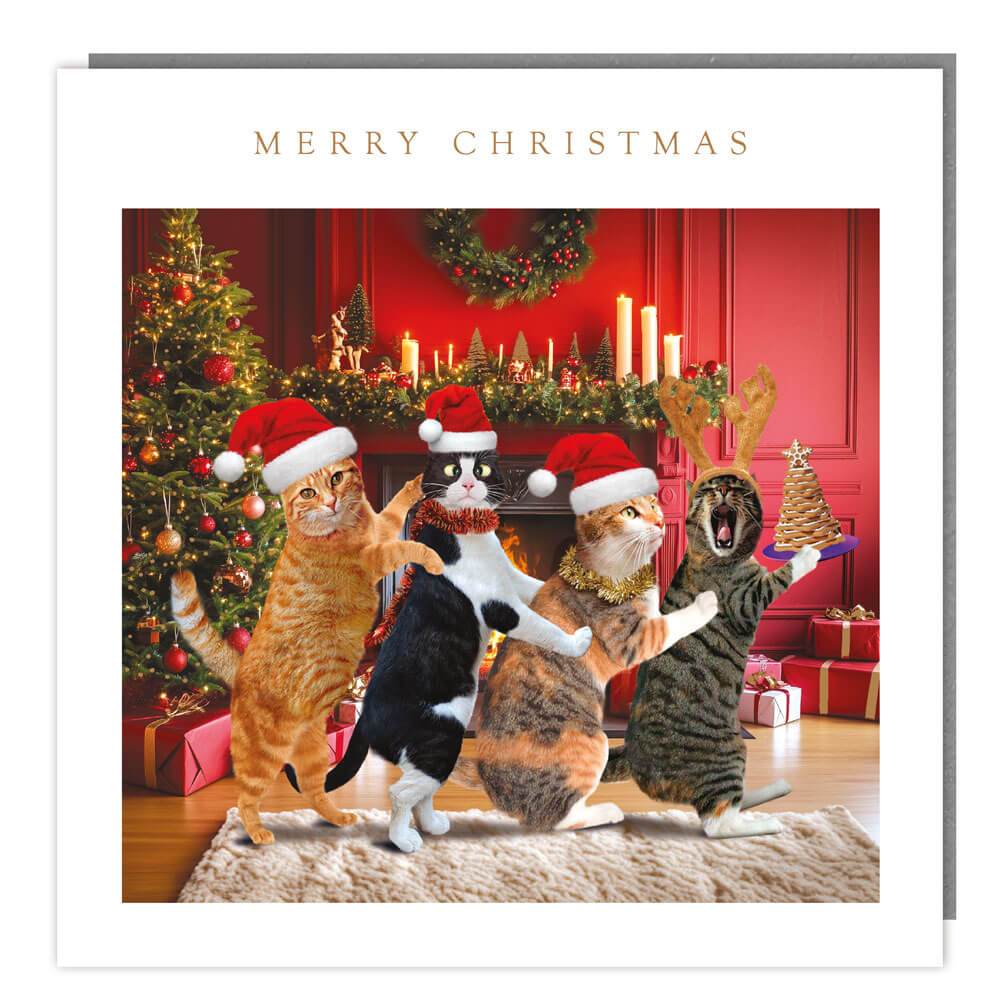 5 Cat Conga Charity Christmas Cards - House of Cards