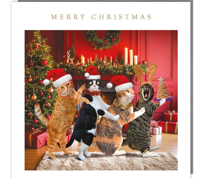 5 Cat Conga Charity Christmas Cards - House of Cards