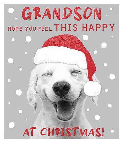 Grandson Dog Christmas Card - House of Cards