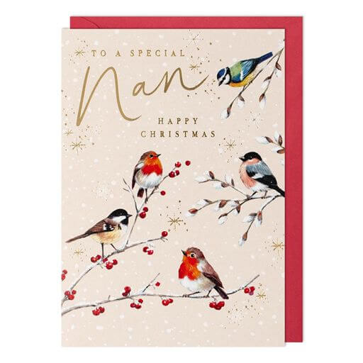 Nan Birds Christmas Card