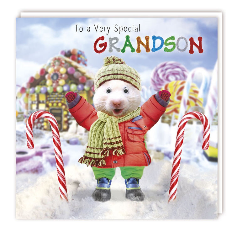 Gogglies Grandson Christmas Card