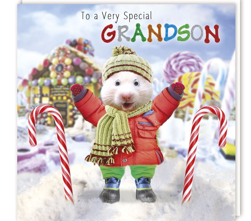 Gogglies Grandson Christmas Card
