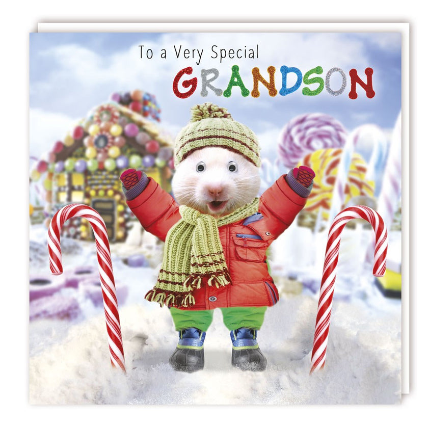 Gogglies Grandson Christmas Card