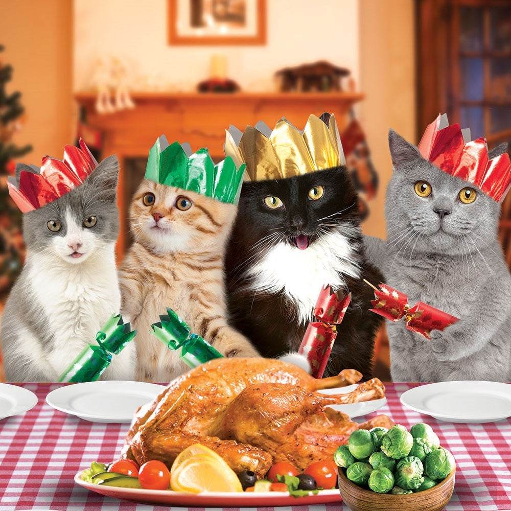 Cats Dinner Christmas Card - House of Cards