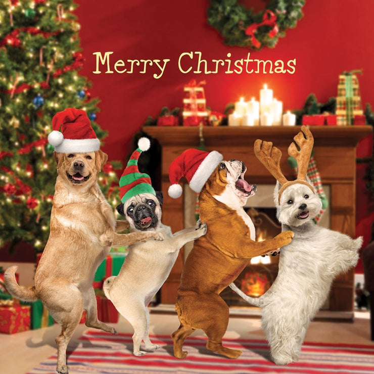 Dog Conga Christmas Card