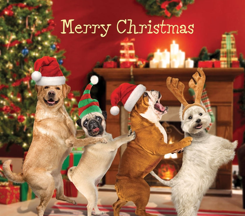 Dog Conga Christmas Card