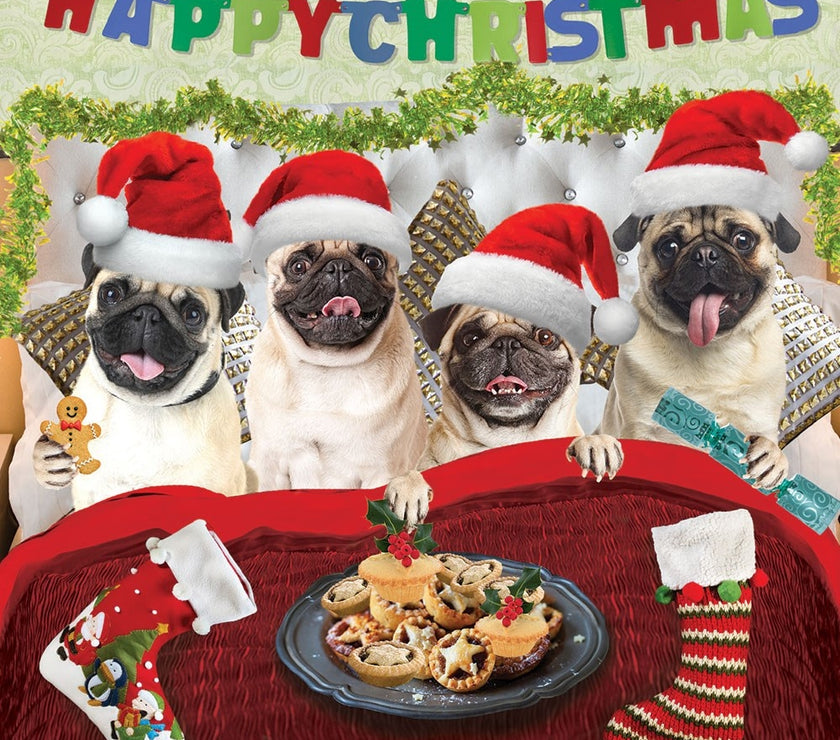 Pug Pies in Bed Christmas Card