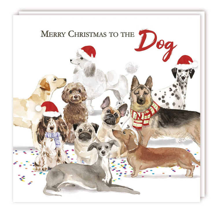 To The Dog Christmas Card