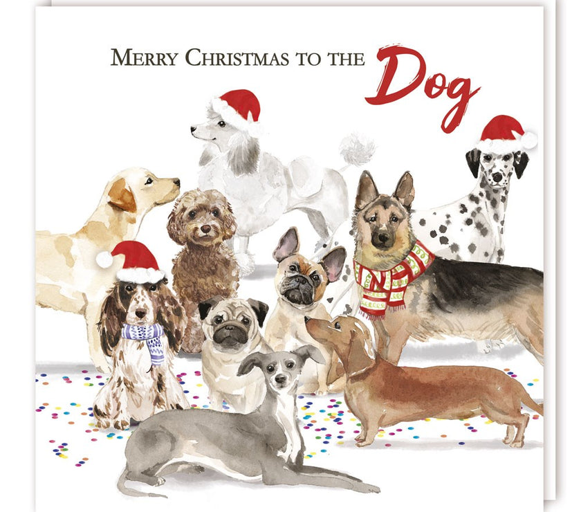 To The Dog Christmas Card