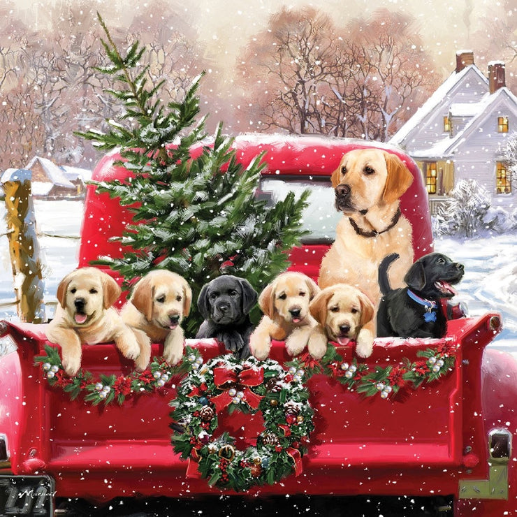 Dogs in Truck Christmas Card