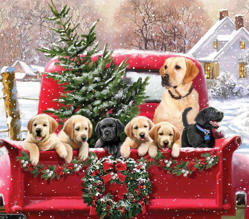 Dogs in Truck Christmas Card