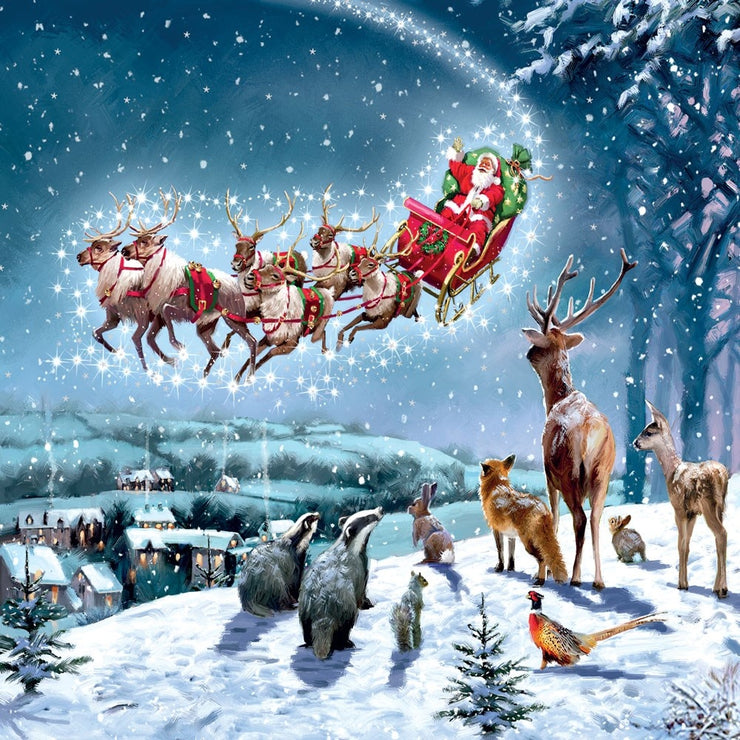 Santa Sleigh Christmas Card