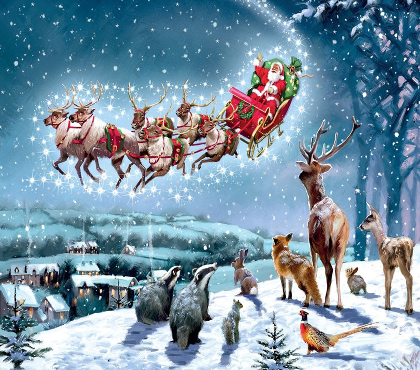 Santa Sleigh Christmas Card