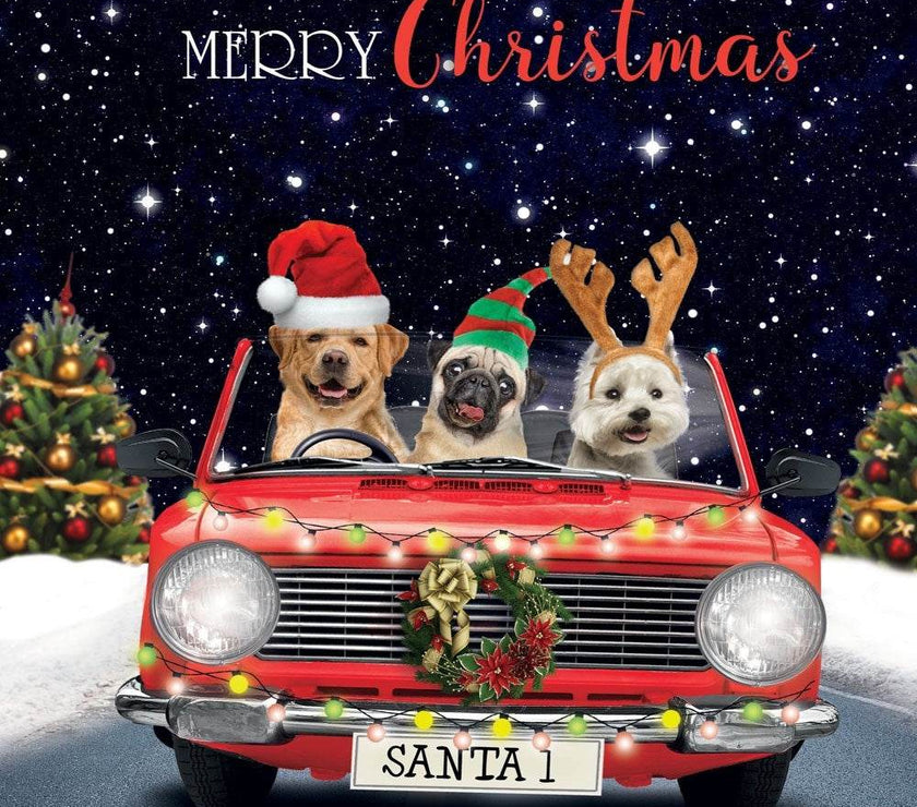 3D Lenticular Dogs Driving Car Christmas Card - House of Cards