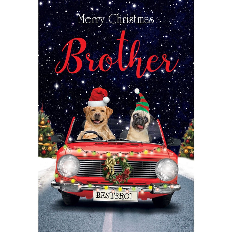 Brother Dogs Driving Car Christmas Card