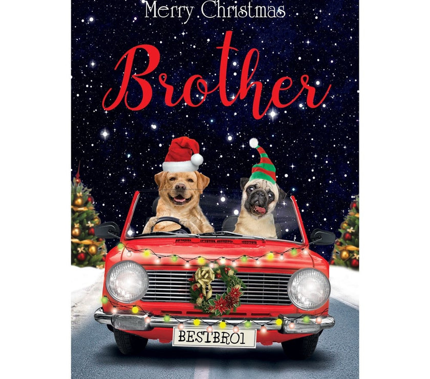 Brother Dogs Driving Car Christmas Card