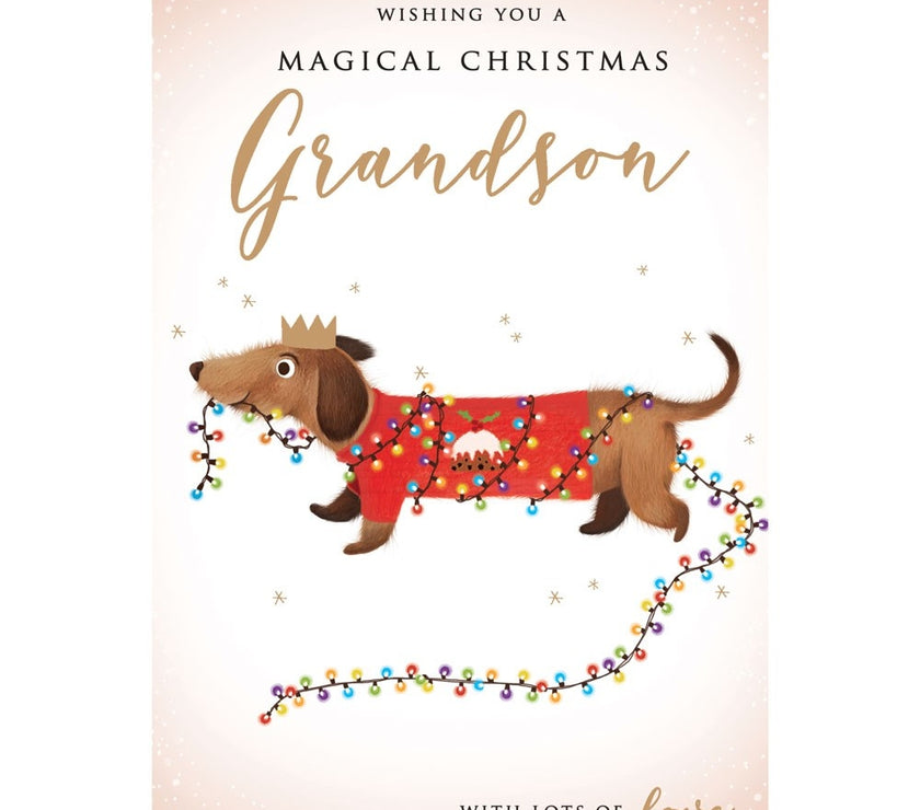 Grandson Dachshund Christmas Card