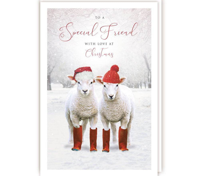 Special Friend Lambs Christmas Card - House of Cards