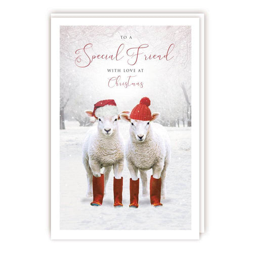 Special Friend Lambs Christmas Card - House of Cards